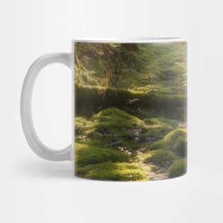 Sunshine on the dense forests after the rain Mug